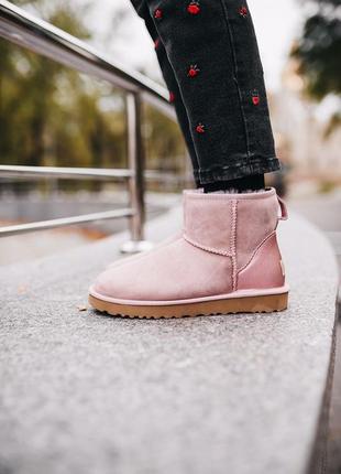 Уги ugg w classic mini «pink» угги7 фото