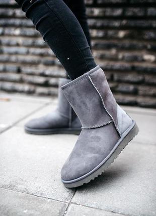 Уги ugg w classic shortb ii grey угги