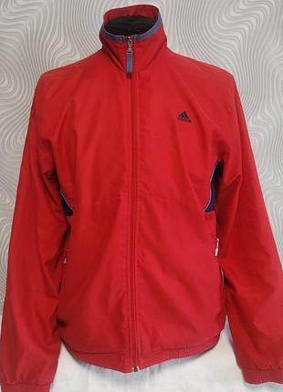 Олімпійка adidas р.l