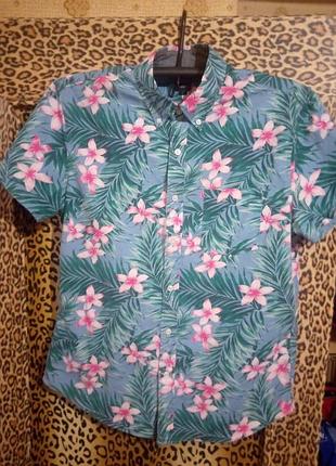 Шведка мужская 50-52р.