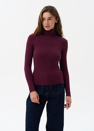 Светри 260623) водолазка