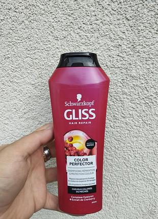 Шампунь schwarzkopf gliss kur color perfector для фарбованого волосся 250 мл
