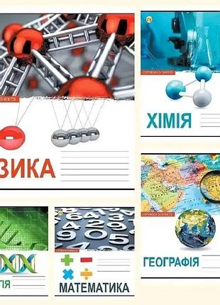 Набір предметних зошитів на 24 аркуші,клітинка,10 шт