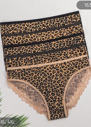 Жіночі бавовняні трусики сліпи з мереживом nicoletta, набір (5 шт), розміри 2xl, 3xl, 4xl