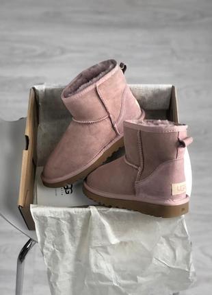 Ugg australia в розовом цвете женские сапоги угги зимние