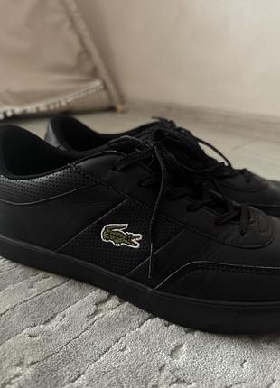 Кеди lacoste