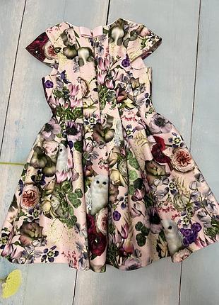 Плаття 3-4 роки lola maverick 5