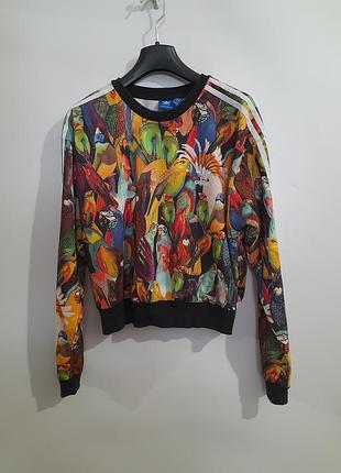 Жіноча толстовка світшот adidas originals passaredo в ідеалі