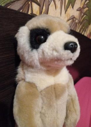 М'яка іграшка.колекційна сурікат 10