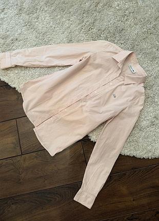 Рубашка lacoste Classic оригінал