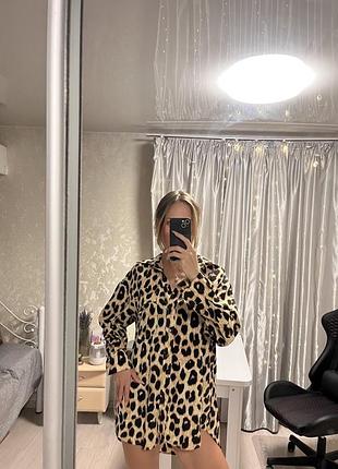 Рубашка леопард