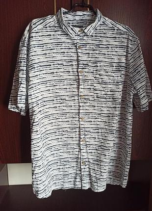 Фірмова теніска peacocks