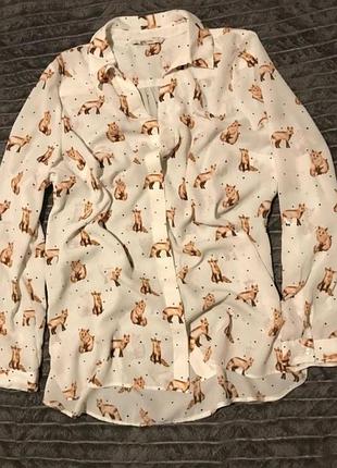 Фантастична блуза на ґудзиках із зображенням лисичок лисят від бренду tu