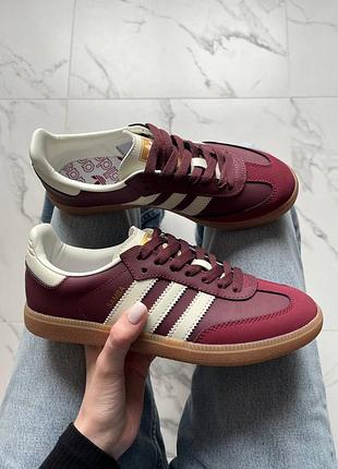 Кросівки adidas samba og maroon