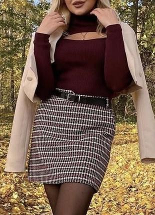 Спідниця гусяча лапка