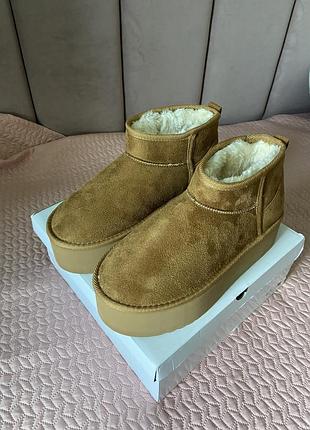 Уггі короткі