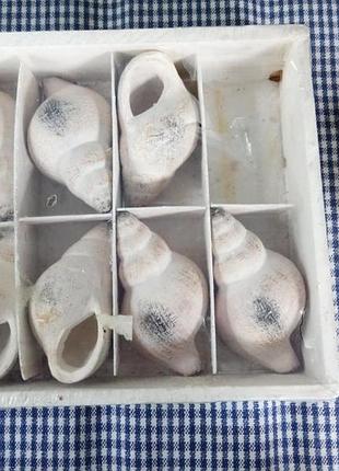 Комплект для декора. ракушки