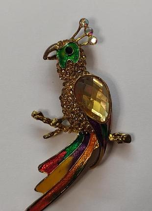 Брошка  папуга