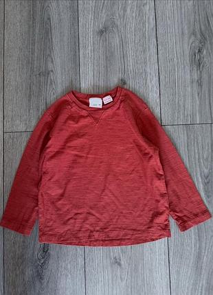 Реглан від зара