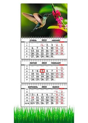 Календарь настенный на 2025 год на 3 пружины колибри