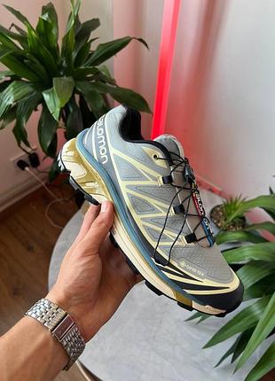 Salomon s/lab xt-6 silver beige