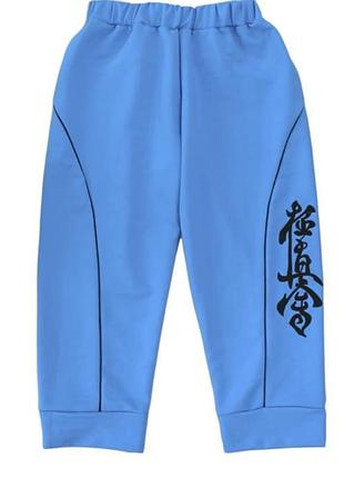 Трикотажні спортивні бриджі з вишивкою ієрогліфів