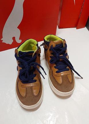 Хайтопы для мальчика