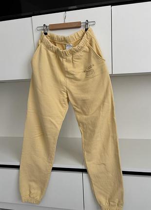 Джогери трендові