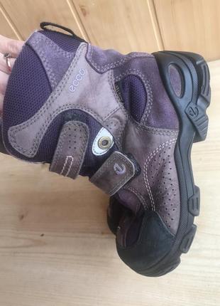 Термоботинки ecco gore-tex