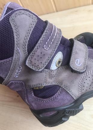 Термоботинки ecco gore-tex 4