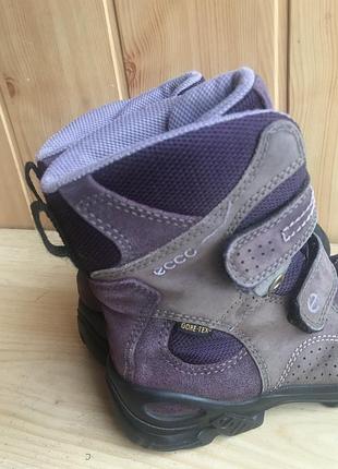 Термоботинки ecco gore-tex 7