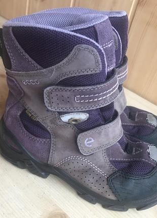 Термоботинки ecco gore-tex 10