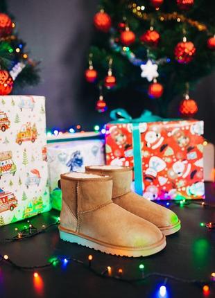 Ugg w classic mini chestnut🆕 шикарні жіночі уггі 🆕 купити накладений платіж