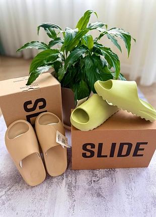 Adidas slide тапки (beige,green)