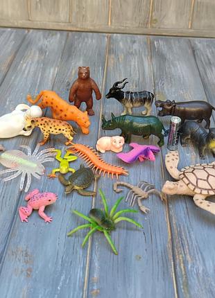 Набір різних тварин