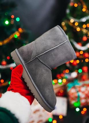 Ugg w classic short ii grey🆕 шикарные женские угги 🆕 купить наложенный платёж