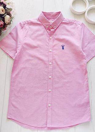 11 лет, рост 146 новая рубашка короткий рукав артикул: 24170 бренд: next (некст)