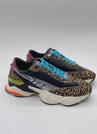 Кросівки steve madden  кроссовки
