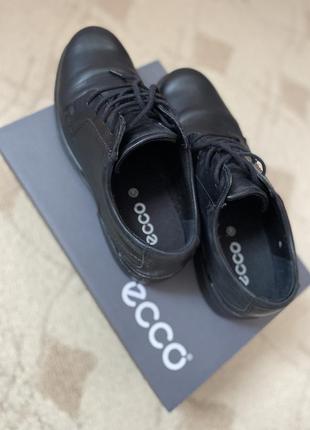 Черевики ecco