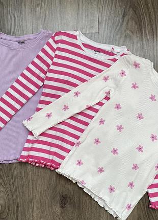 Набір яскравих регланів