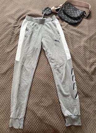 Спортивні штани puma
