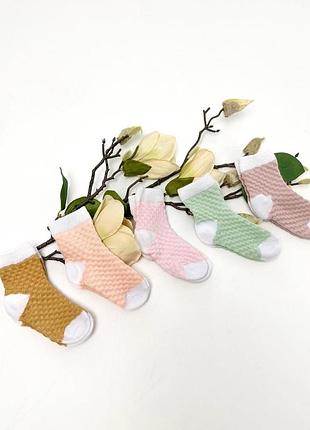 Носочки у розмірах