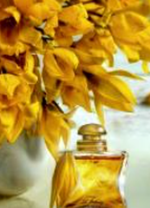 Hermes 24 faubourg парфумована вода