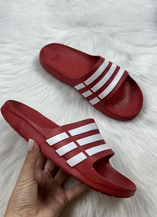 Оригінальні унісекс шльопанці adidas