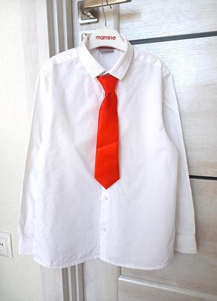 Нарядная школьная белая рубашка рубашка с длинным рукавом и галстук next некст для мальчика 9 лет 134 как новая