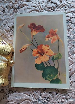 Открытка винтаж 1959 г. актуально