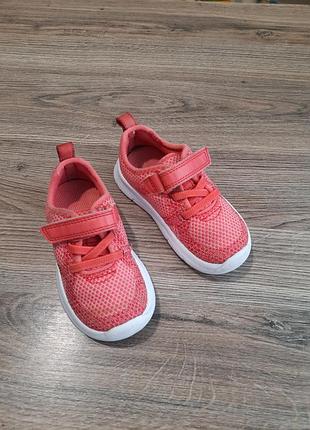 Кросівки кларкс, кеди