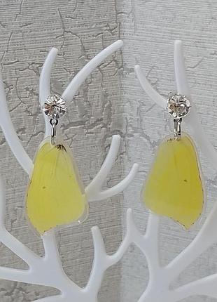 Сережки крила метеликів, зі справжніми крилами метеликів в епоксидній смолі