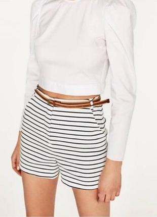 Шорти zara котон