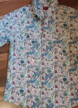 Сорочка нова